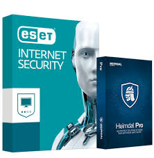 ESET Internet Security Crack 12.0.31.0 With License Key Free Download 2019