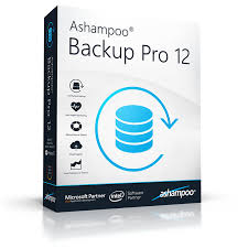 Ashampoo Backup 2020 Crack With Activation Number Free Download 